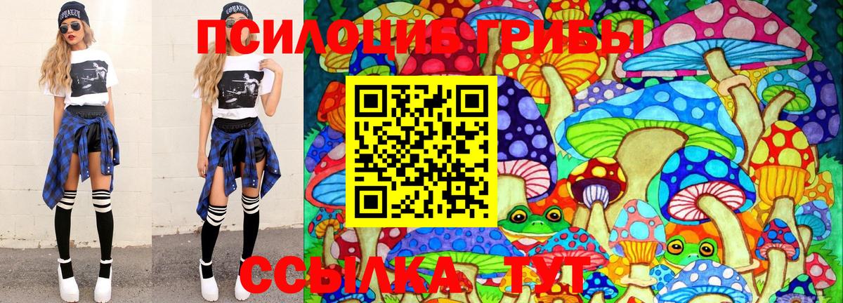 Галлюциногенные грибы Psilocybe  Галлюциногенные грибы ЛСД  Вход с VPN  Качканар 